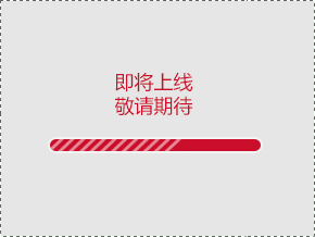 1450253304